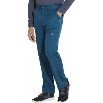Мужские брюки DICKIES DK110 CAR